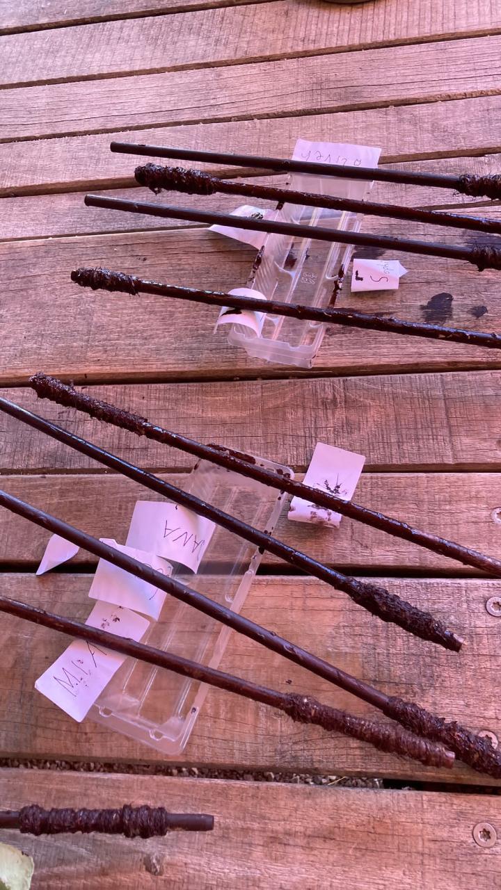 Auf den Spuren von Harry Potter