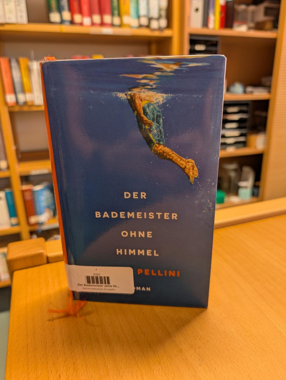 Der Bademeister ohne Himmel