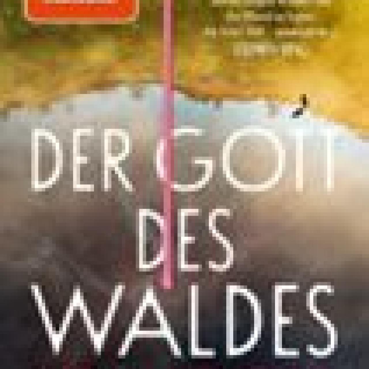 Der Gott des Waldes von Liz Moore